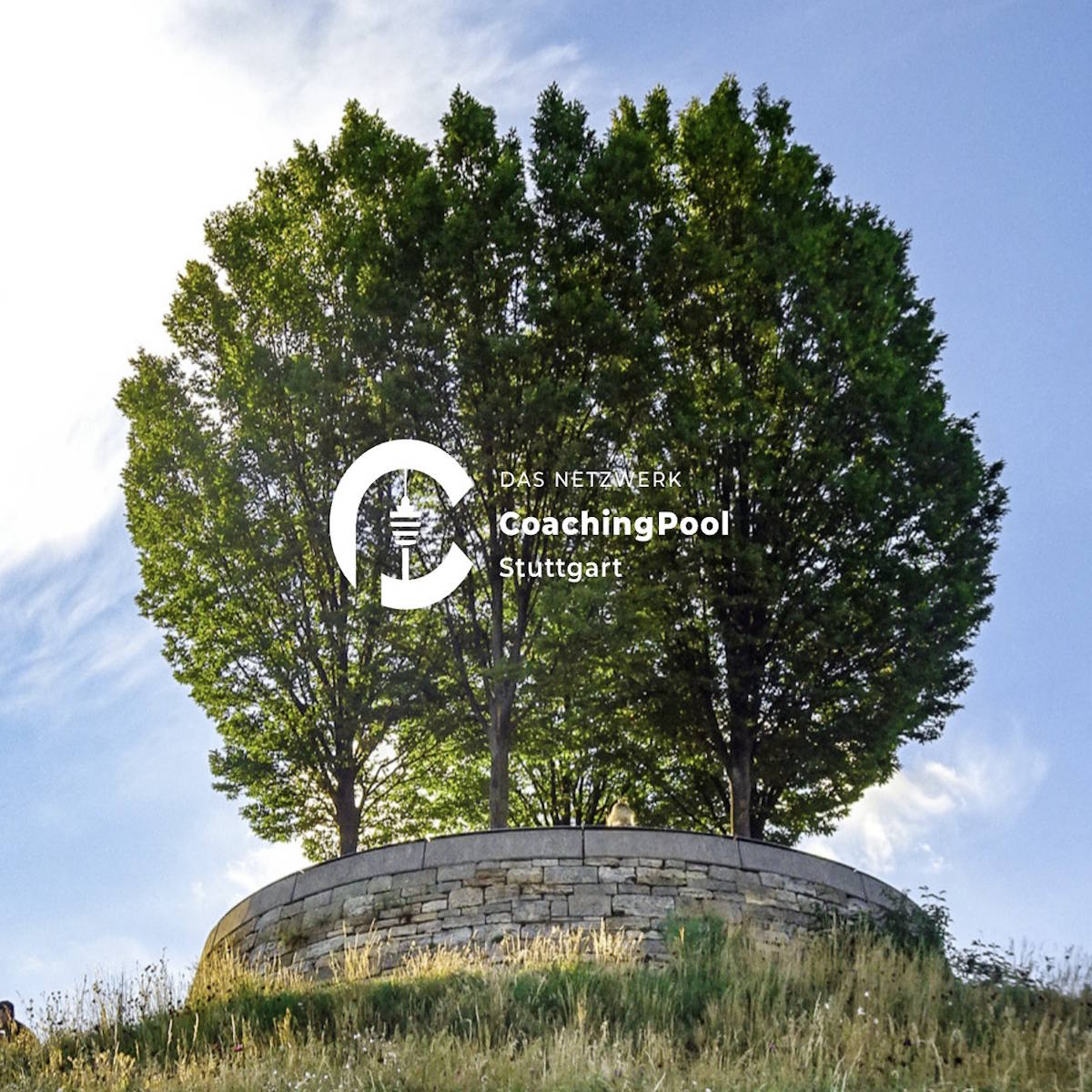 CPS - Coaching Pool Stuttgart